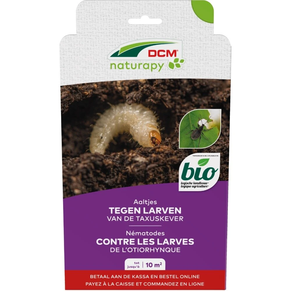 DCM Aaltjes Tegen Larven Van De Taxuskever (Kraussi-Guard®) - Bestelcode - 10 M² (5 Mio. Aaltjes) 1 DCM Aaltjes Tegen Larven Van De Taxuskever (Kraussi-Guard®) - Bestelcode - 10 M² (5 Mio. Aaltjes)