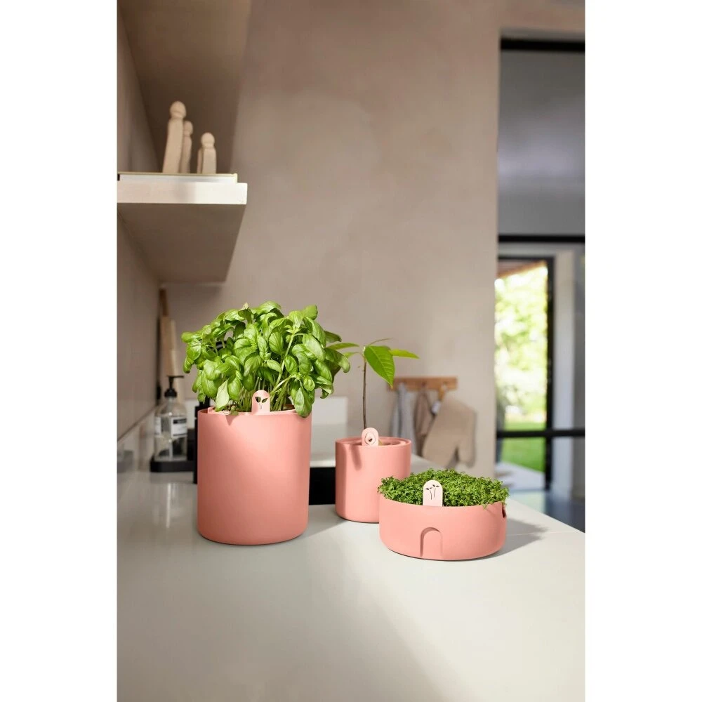 Elho Amazing Avocado Pot Bruin 8 Elho Amazing Avocado Pot Bruin - Afbeelding 8