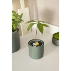 Elho Amazing Avocado Pot Groen 13 Elho Amazing Avocado Pot Groen -Groen Thuis Winkel elho amazing avocado pot groen 1000x1000 64aeba7ae3b1b l