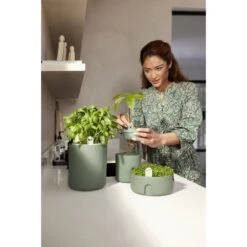 Elho Amazing Avocado Pot Groen 15 Elho Amazing Avocado Pot Groen -Groen Thuis Winkel elho amazing avocado pot groen 1000x1000 64aeba7b64812 l