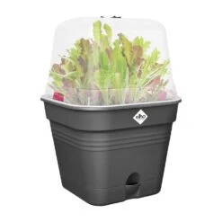 Elho Green Basics Kweekpot Vierk. Allin1 30 Cm Zwart 11 Elho Green Basics Kweekpot Vierk. Allin1 30 Cm Zwart -Groen Thuis Winkel elho green basics kweekpot vierk allin1 30 cm zwart 1000x1000 64aebae598bcd l