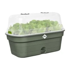 Elho Green Basics Kweektray Allin1 L Groen -Groen Thuis Winkel elho green basics kweektray allin1 l groen 1000x1000 64aeba84a36ab l