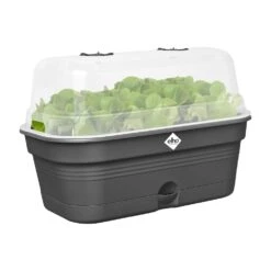 Elho Green Basics Kweektray Allin1 L Zwart 10 Elho Green Basics Kweektray Allin1 L Zwart -Groen Thuis Winkel elho green basics kweektray allin1 l zwart 1000x1000 64aeba86be1b3 l