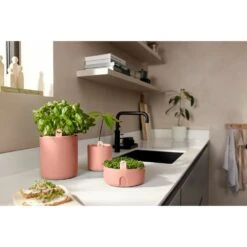 Elho Magic Microgreens Bruin -Groen Thuis Winkel elho magic microgreens bruin 1000x1000 64aebb1cb23bd l