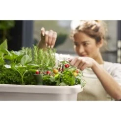 Elho Noa Kweektafel Grijs -Groen Thuis Winkel elho noa kweektafel grijs 1000x1000 64aebac703c5b l