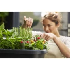 Elho Noa Kweektafel Zwart -Groen Thuis Winkel elho noa kweektafel zwart 1000x1000 64aebaca7b56b l