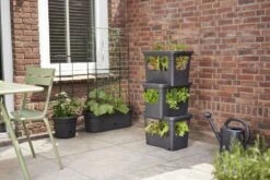 Elho Plantenbak Green Basics Stack & Grow Large Zwart -Groen Thuis Winkel elho plantenbak green basics stack grow large zwart 800x534 620e3d4f78fb3 l