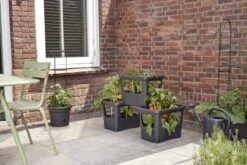 Elho Plantenbak Green Basics Stack & Grow Large Zwart -Groen Thuis Winkel elho plantenbak green basics stack grow large zwart 800x534 620e3d4fc59c1 l