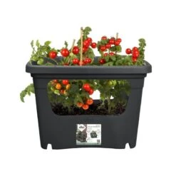 Elho Plantenbak Green Basics Stack & Grow Large Zwart -Groen Thuis Winkel elho plantenbak green basics stack grow large zwart 800x800 620e3d4eed857 l