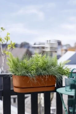 Elho Plantenbak Greenville Easy Balcony 52cm Bruin -Groen Thuis Winkel elho plantenbak greenville easy balcony 52cm bruin 534x800 620e3d78b812c l