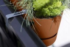 Elho Plantenbak Greenville Easy Balcony 52cm Bruin -Groen Thuis Winkel elho plantenbak greenville easy balcony 52cm bruin 800x534 620e3d7a0fba4 l