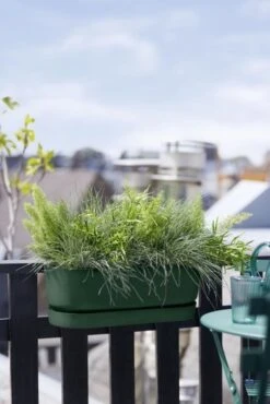 Elho Plantenbak Greenville Easy Balcony 52cm Groen -Groen Thuis Winkel elho plantenbak greenville easy balcony 52cm groen 534x800 620e3d7cec8d4 l