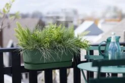 Elho Plantenbak Greenville Easy Balcony 52cm Groen -Groen Thuis Winkel elho plantenbak greenville easy balcony 52cm groen 800x534 620e3d7cbcf7a l
