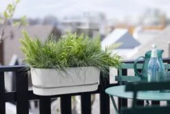 Elho Plantenbak Greenville Easy Balcony 52cm Wit -Groen Thuis Winkel elho plantenbak greenville easy balcony 52cm wit 800x534 620e3d70ef9fa l