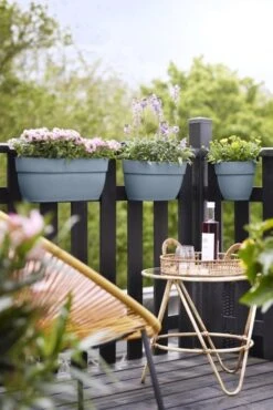 Elho Plantenbak Vibia Campana Easy Hanger Large Blauw -Groen Thuis Winkel elho plantenbak vibia campana easy hanger large blauw 534x800 620e3cf21bf00 l