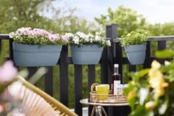 Elho Plantenbak Vibia Campana Easy Hanger Large Blauw -Groen Thuis Winkel elho plantenbak vibia campana easy hanger large blauw 800x534 620e3cf1db03a l