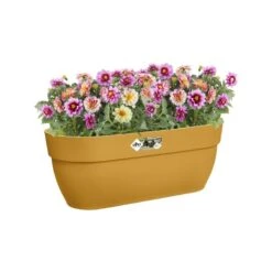 Elho Plantenbak Vibia Campana Easy Hanger Large Geel -Groen Thuis Winkel elho plantenbak vibia campana easy hanger large geel 800x800 620e3ce7b4e0f l