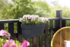 Elho Plantenbak Vibia Campana Easy Hanger Large Grijs -Groen Thuis Winkel elho plantenbak vibia campana easy hanger large grijs 800x534 620e3ce68654e l