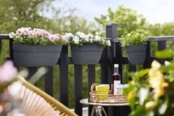 Elho Plantenbak Vibia Campana Easy Hanger Large Grijs -Groen Thuis Winkel elho plantenbak vibia campana easy hanger large grijs 800x534 620e3ce6bad5e l