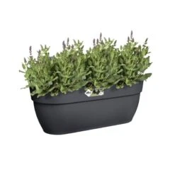 Elho Plantenbak Vibia Campana Easy Hanger Large Grijs -Groen Thuis Winkel elho plantenbak vibia campana easy hanger large grijs 800x800 620e3ce607086 l