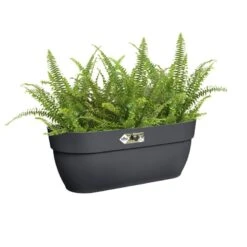 Elho Plantenbak Vibia Campana Easy Hanger Large Grijs -Groen Thuis Winkel elho plantenbak vibia campana easy hanger large grijs 800x800 620e3ce6475e6 l