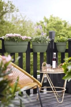 Elho Plantenbak Vibia Campana Easy Hanger Large Groen -Groen Thuis Winkel elho plantenbak vibia campana easy hanger large groen 534x800 620e3cec7c872 l