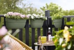 Elho Plantenbak Vibia Campana Easy Hanger Large Groen -Groen Thuis Winkel elho plantenbak vibia campana easy hanger large groen 800x534 620e3cec4c494 l