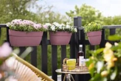 Elho Plantenbak Vibia Campana Easy Hanger Large Roze -Groen Thuis Winkel elho plantenbak vibia campana easy hanger large roze 800x534 620e3ce933e48 l