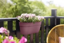 Elho Plantenbak Vibia Campana Easy Hanger Large Roze -Groen Thuis Winkel elho plantenbak vibia campana easy hanger large roze 800x534 620e3ce9641e3 l