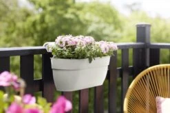 Elho Plantenbak Vibia Campana Easy Hanger Large Wit -Groen Thuis Winkel elho plantenbak vibia campana easy hanger large wit 800x534 620e3cef11e5e l