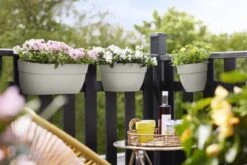 Elho Plantenbak Vibia Campana Easy Hanger Large Wit -Groen Thuis Winkel elho plantenbak vibia campana easy hanger large wit 800x534 620e3cef4542d l