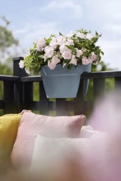 Elho Plantenbak Vibia Campana Flower Bridge 40cm Blauw -Groen Thuis Winkel elho plantenbak vibia campana flower bridge 40cm blauw 534x800 620e3d2658489 l