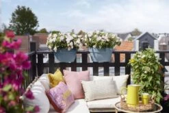 Elho Plantenbak Vibia Campana Flower Bridge 40cm Blauw -Groen Thuis Winkel elho plantenbak vibia campana flower bridge 40cm blauw 800x534 620e3d26b92ed l