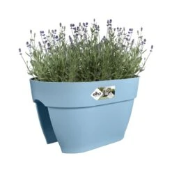 Elho Plantenbak Vibia Campana Flower Bridge 40cm Blauw -Groen Thuis Winkel elho plantenbak vibia campana flower bridge 40cm blauw 800x800 620e3d25c207f l