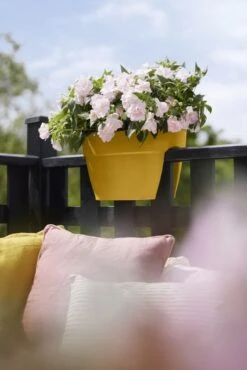 Elho Plantenbak Vibia Campana Flower Bridge 40cm Geel -Groen Thuis Winkel elho plantenbak vibia campana flower bridge 40cm geel 534x800 620e3d1223b34 l