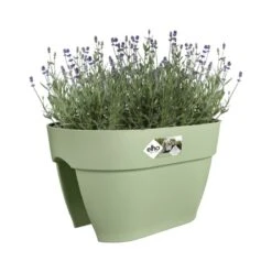 Elho Plantenbak Vibia Campana Flower Bridge 40cm Groen -Groen Thuis Winkel elho plantenbak vibia campana flower bridge 40cm groen 800x800 620e3d1e9ceac l