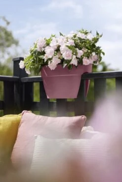 Elho Plantenbak Vibia Campana Flower Bridge 40cm Roze -Groen Thuis Winkel elho plantenbak vibia campana flower bridge 40cm roze 534x800 620e3d1c11a24 l