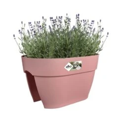 Elho Plantenbak Vibia Campana Flower Bridge 40cm Roze -Groen Thuis Winkel elho plantenbak vibia campana flower bridge 40cm roze 800x800 620e3d1a547e1 l