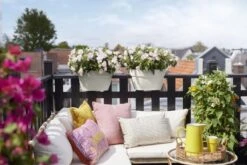 Elho Plantenbak Vibia Campana Flower Bridge 40cm Wit -Groen Thuis Winkel elho plantenbak vibia campana flower bridge 40cm wit 800x534 620e3d22bb538 l