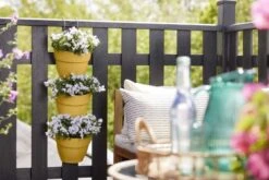 Elho Plantenbak Vibia Campana Vertical Forest Set/3 Geel 10 Elho Plantenbak Vibia Campana Vertical Forest Set/3 Geel -Groen Thuis Winkel elho plantenbak vibia campana vertical forest set 3 geel 800x534 620e3cf49f6ae l