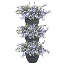 Elho Plantenbak Vibia Campana Vertical Forest Set/3 Grijs -Groen Thuis Winkel elho plantenbak vibia campana vertical forest set 3 grijs 800x800 620e3cea13f57 l