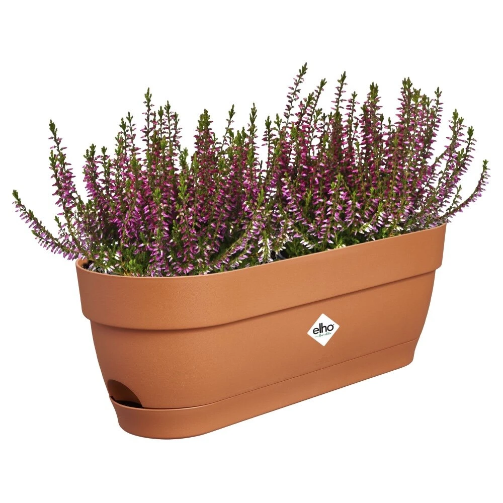 Elho Vibia Campana Balkonbak 50 Cm Bruin 2 Elho Vibia Campana Balkonbak 50 Cm Bruin - Afbeelding 2