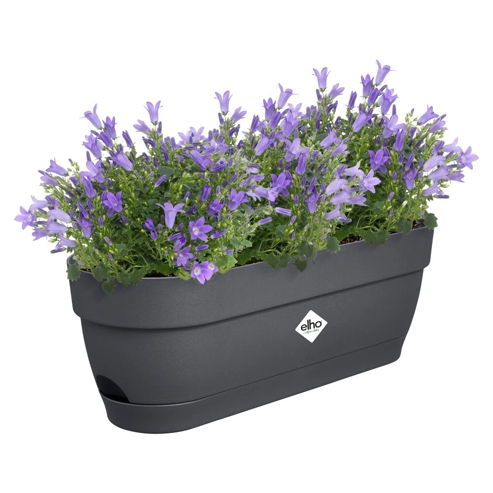 Elho Vibia Campana Balkonbak 50 Cm Zwart 2 Elho Vibia Campana Balkonbak 50 Cm Zwart - Afbeelding 2