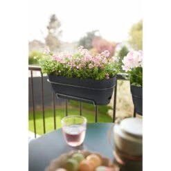 Elho Vibia Campana Balkonbak 70 Cm Zwart -Groen Thuis Winkel elho vibia campana balkonbak 70 cm zwart 1000x1000 64aebb3a15eb4 l