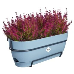 Elho Vibia Campana Balkonbak Allin1 50 Cm Blauw -Groen Thuis Winkel elho vibia campana balkonbak allin1 50 cm blauw 1000x1000 64aebb0cdc7f2 l