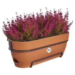 Elho Vibia Campana Balkonbak Allin1 50 Cm Bruin -Groen Thuis Winkel elho vibia campana balkonbak allin1 50 cm bruin 1000x1000 64aebb051bf3c l