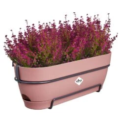 Elho Vibia Campana Balkonbak Allin1 50 Cm Roze -Groen Thuis Winkel elho vibia campana balkonbak allin1 50 cm roze 1000x1000 64aebb023d96d l