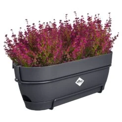 Elho Vibia Campana Balkonbak Allin1 50 Cm Zwart -Groen Thuis Winkel elho vibia campana balkonbak allin1 50 cm zwart 1000x1000 64aebb08e39c9 l