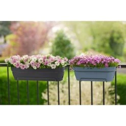 Elho Vibia Campana Balkonbak Allin1 50 Cm Zwart -Groen Thuis Winkel elho vibia campana balkonbak allin1 50 cm zwart 1000x1000 64aebb09e8c74 l