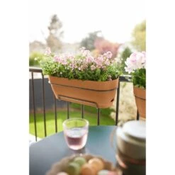 Elho Vibia Campana Balkonbak Allin1 70 Cm Bruin -Groen Thuis Winkel elho vibia campana balkonbak allin1 70 cm bruin 1000x1000 64aebb16dd12e l